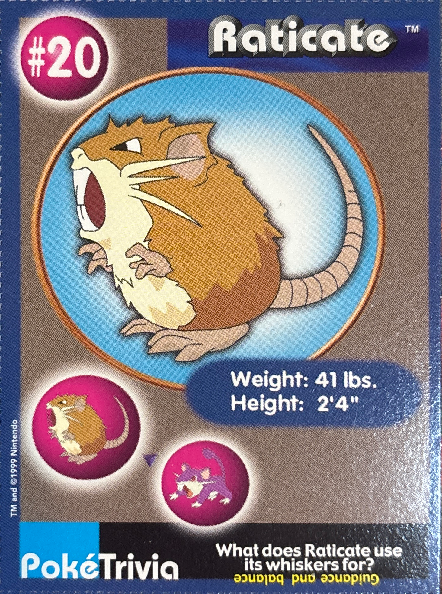 Raticate card #20, Pokémon Burger King PokéTrivia Cards (1999) Checklist, front
