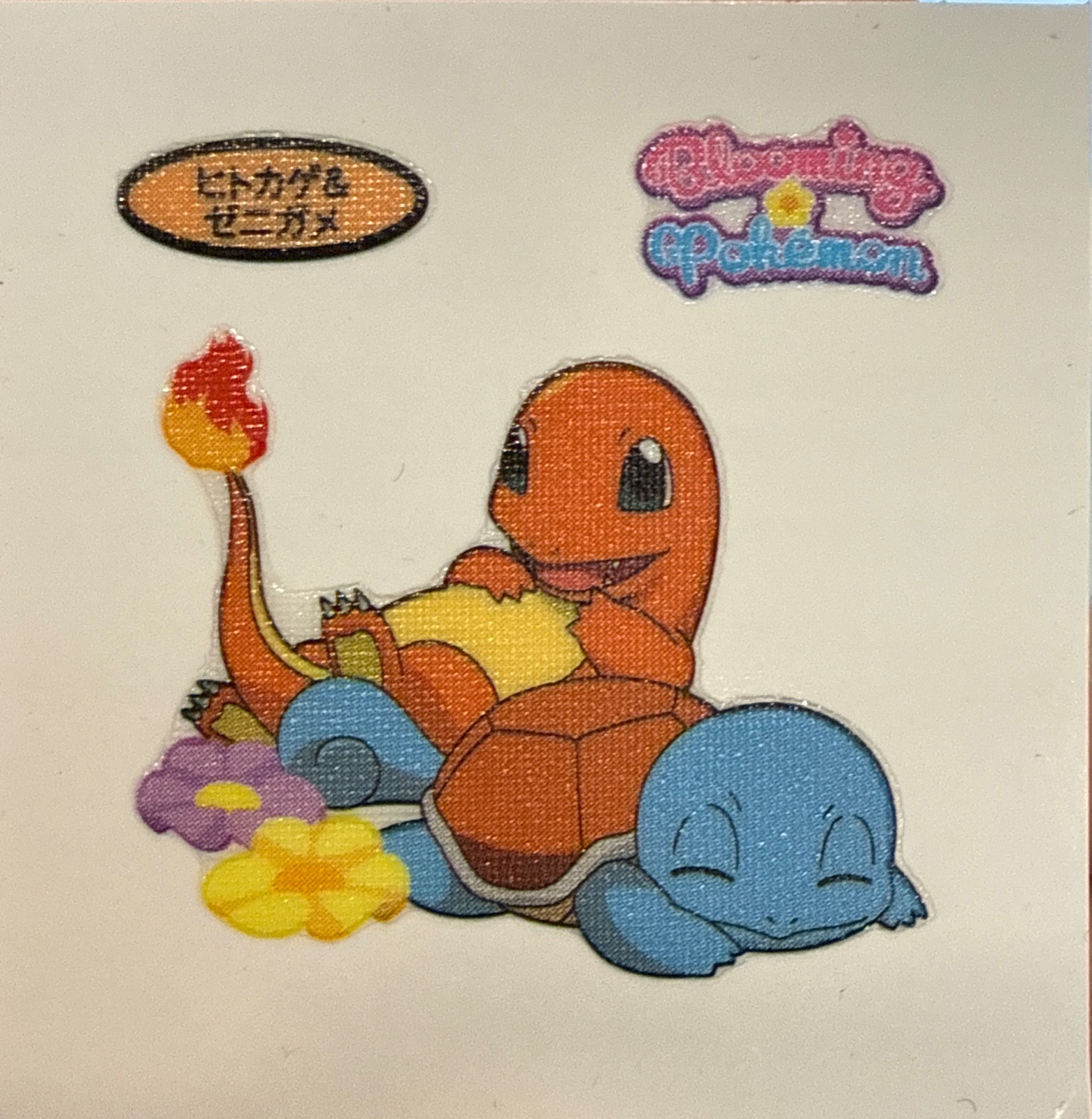 Charmander & Squirtle bread sticker #4217, Daiichi Pan Pokémon Deco Chara Wave 190 Bread Stickers Checklist, front