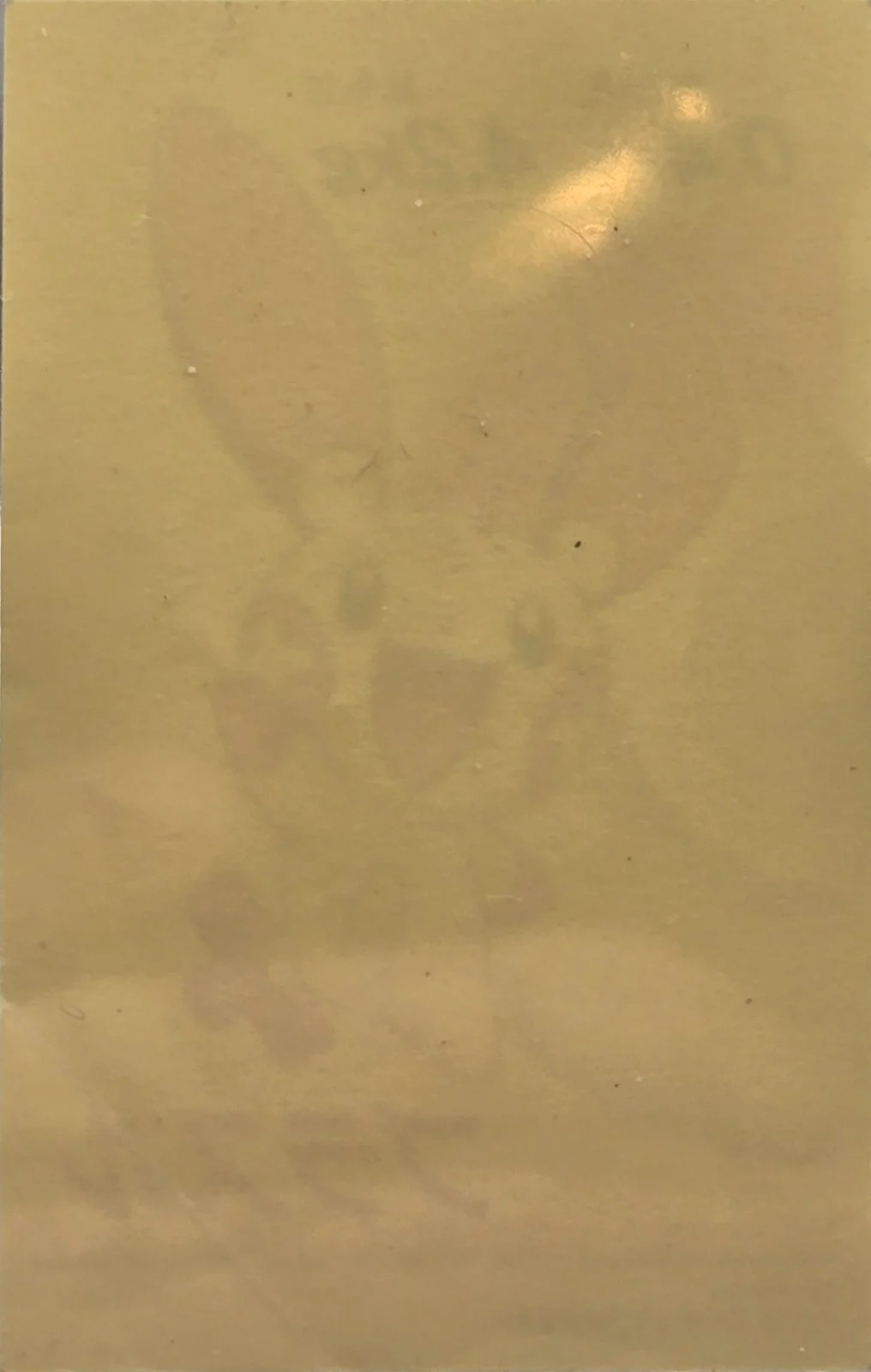Plusle sticker, 7-Eleven Pokémon Fair 2005 Onigiri Stickers, back